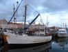 tas-trawler-boat-marina-in-hobart