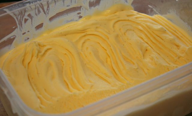 Duck egg vanilla bean icecream