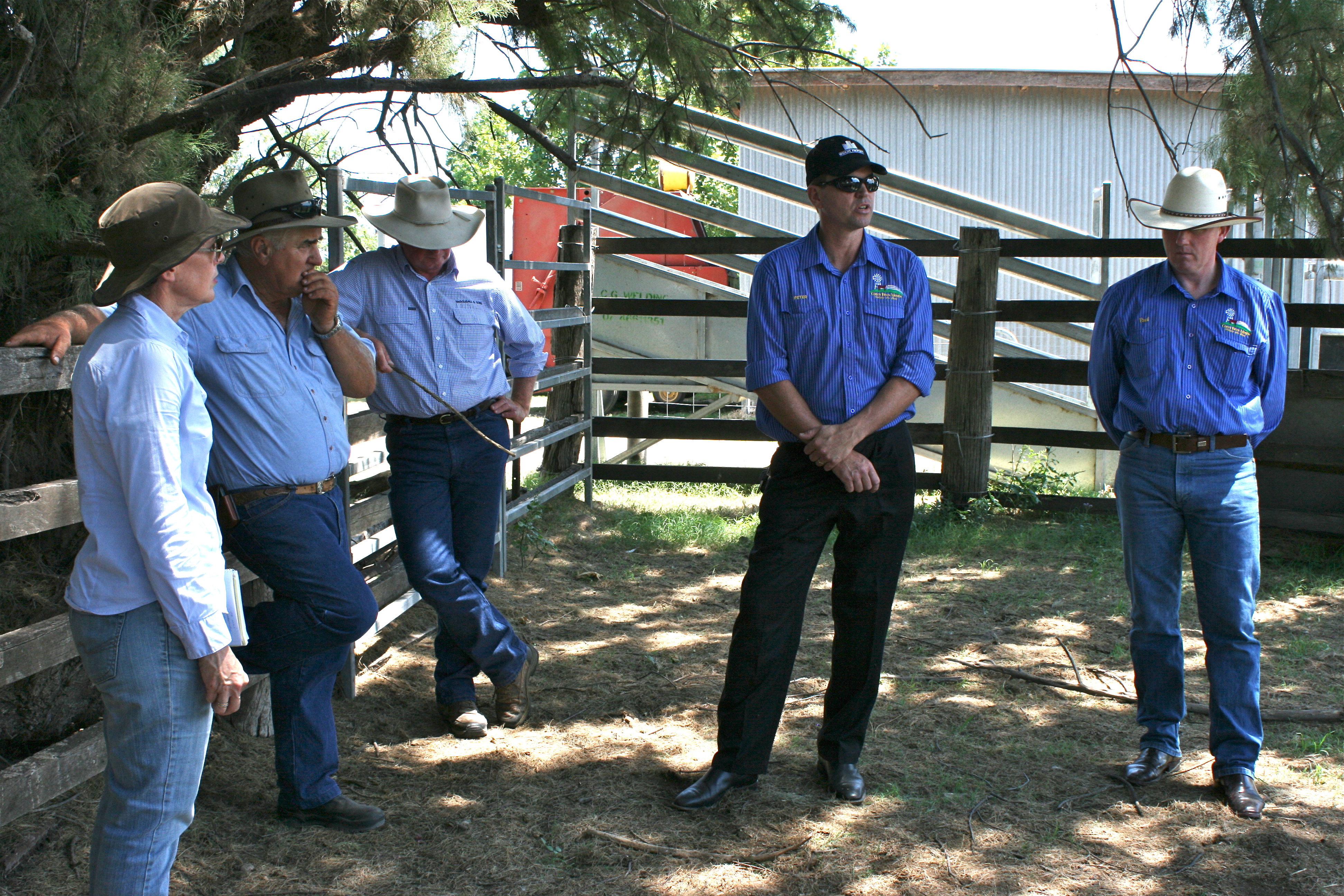 Southern Downs Farmer - Buyer - Butcher