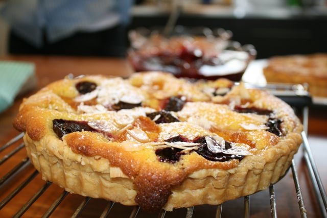 Plum tart - Jocelyn Hancock