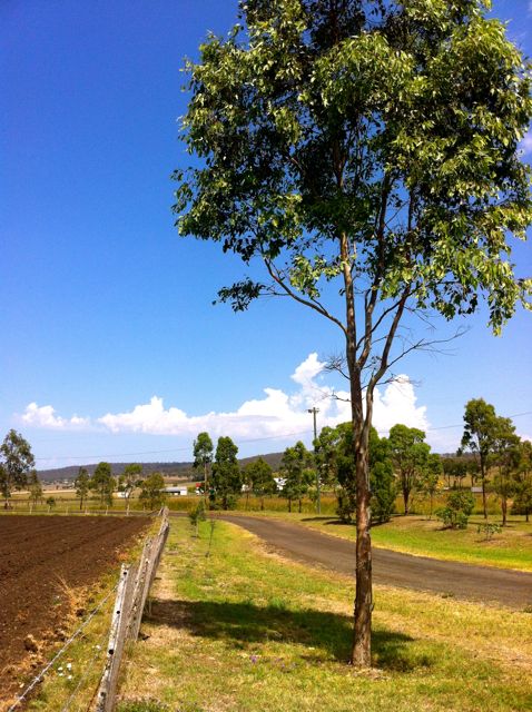 Yangan Queensland