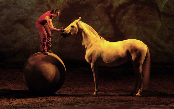 cavalia-ball-horse