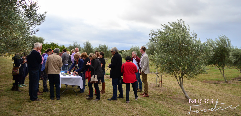 Scenic Rim Tour - Eat Local Week - Miss Foodie-1