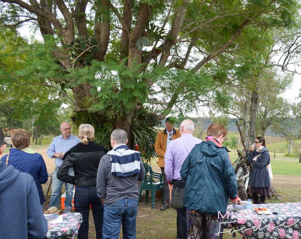 Scenic Rim Tour - Eat Local Week - Miss Foodie-23