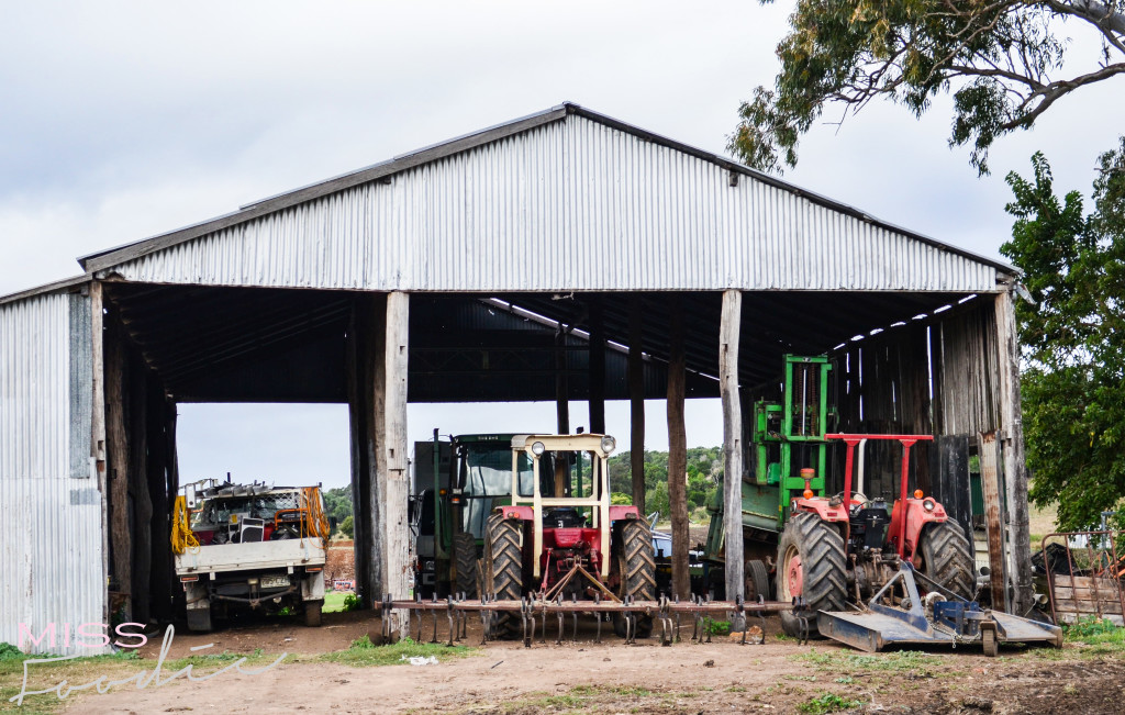 Scenic Rim Tour - Eat Local Week - Miss Foodie-35-2