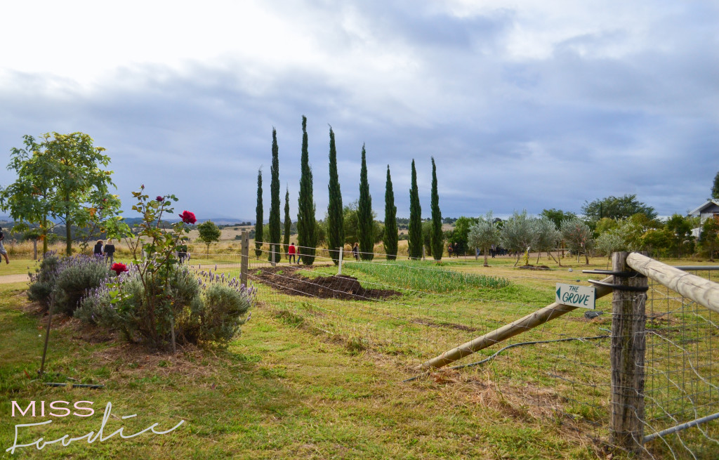 Scenic Rim Tour - Eat Local Week - Miss Foodie-6-3