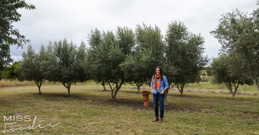 Scenic Rim Tour - Eat Local Week - Miss Foodie-8-3